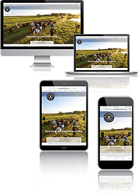 Responsive Website Design Devices