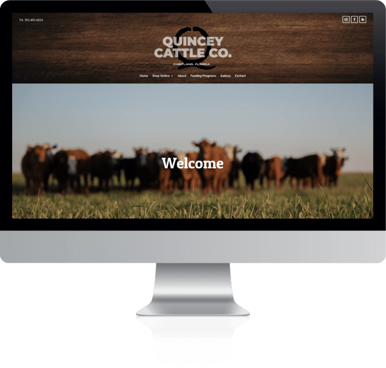 Quincey Cattle Company Website Screenshot